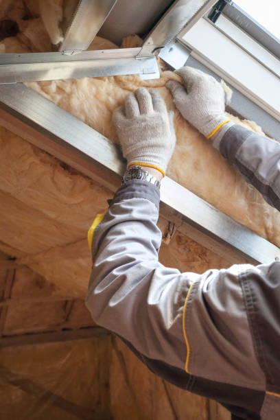 Best Insulation Installation Services in Olivet, MI