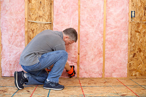 Best Commercial Insulation in Olivet, MI