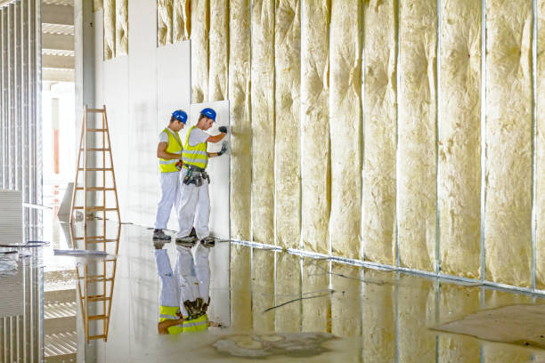 Best Residential Insulation in Olivet, MI